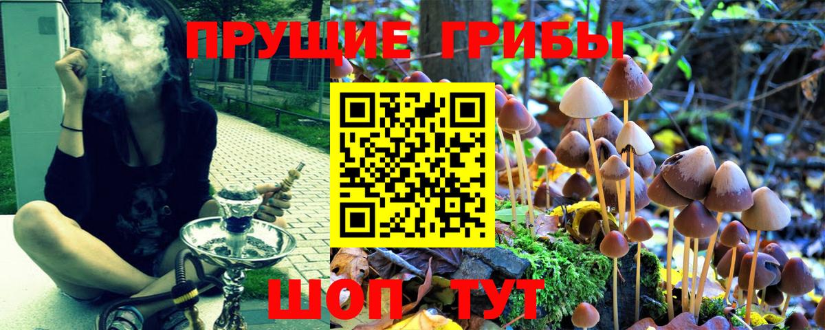 Галлюциногенные грибы Magic Shrooms Маркс